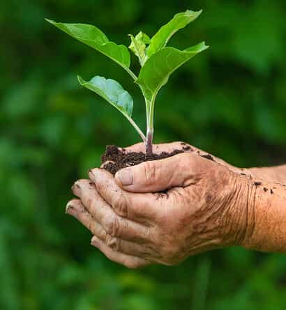 Modern Agriculture - C7娱乐APP